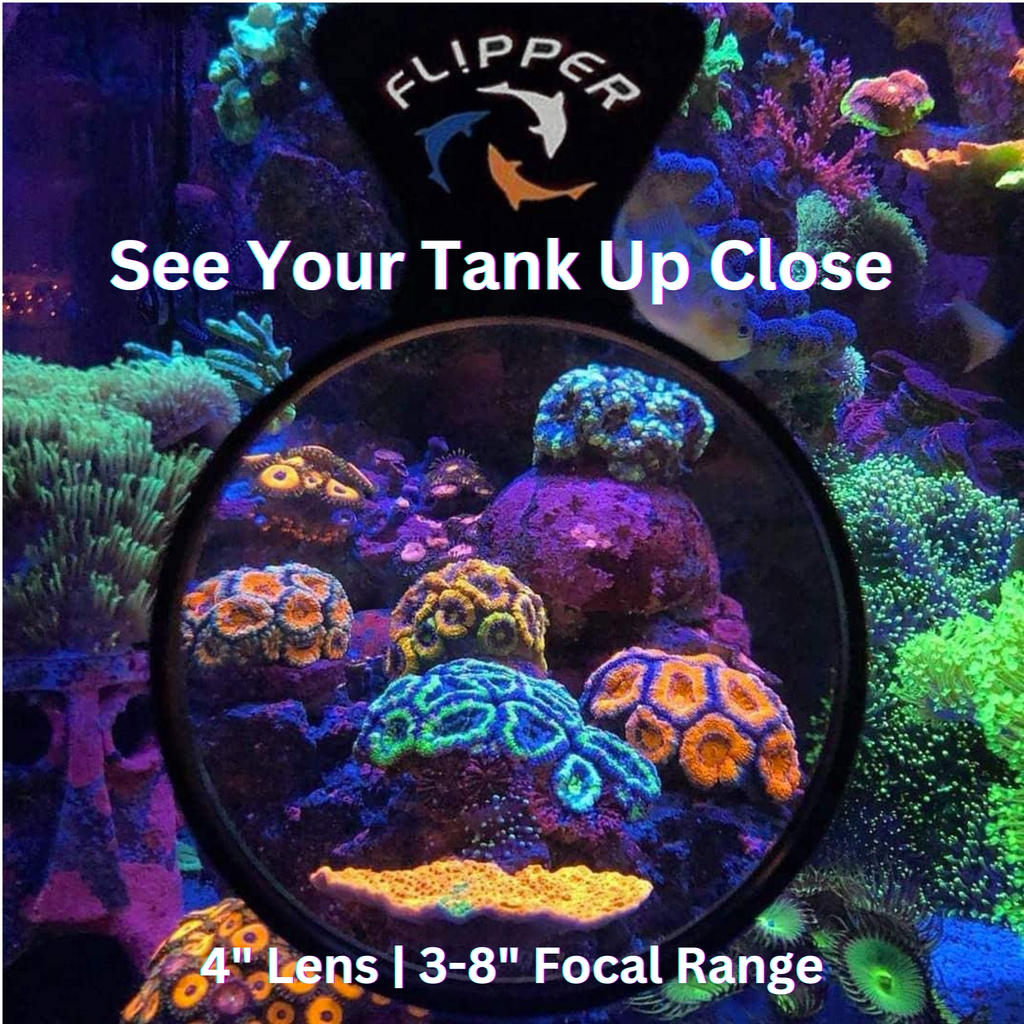 Flipper DeepSee 4" Magnified Viewer for Aquarium Viewing