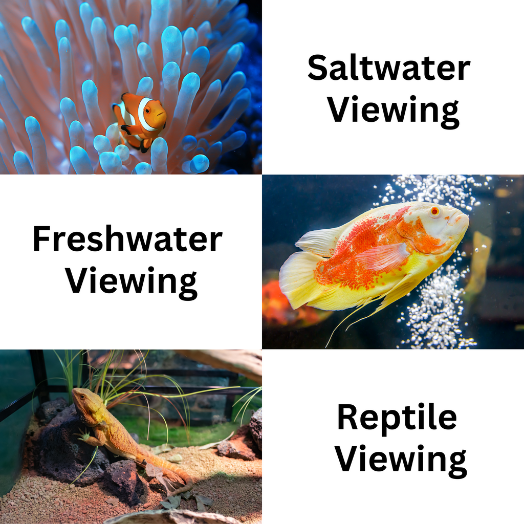 Flipper DeepSee Viewer 3" Nano Magnified Viewer for Aquariums